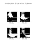 Concentration and purification of analytes using electric fields diagram and image