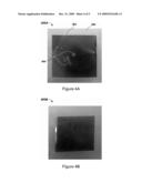 METHOD AND SYSTEM FOR STERILIZING OBJECTS BY THE APPLICATION OF GAS-CLUSTER ION-BEAM TECHNOLOGY diagram and image