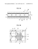 ELECTROPHORETIC DISPLAY DEVICE, DRIVING METHOD THEREOF, AND ELECTRONIC APPARATUS diagram and image