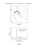 SHG Quantification of Matrix-Related Tissue Dynamic and Disease diagram and image