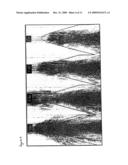 SEISMIC SURVEY METHOD diagram and image