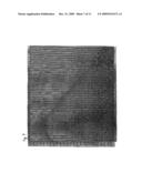 SEISMIC SURVEY METHOD diagram and image