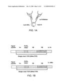 Fusion molecules and IL-15 variants diagram and image