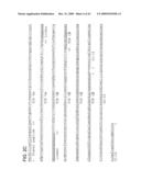 Fusion molecules and IL-15 variants diagram and image