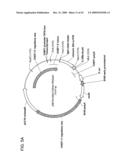 Fusion molecules and IL-15 variants diagram and image