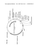 Fusion molecules and IL-15 variants diagram and image