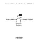 Mutated immunogenic peptides derived from R9M, polynucleotides coding for same and therapeutic uses thereof diagram and image