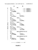 Mutated immunogenic peptides derived from R9M, polynucleotides coding for same and therapeutic uses thereof diagram and image