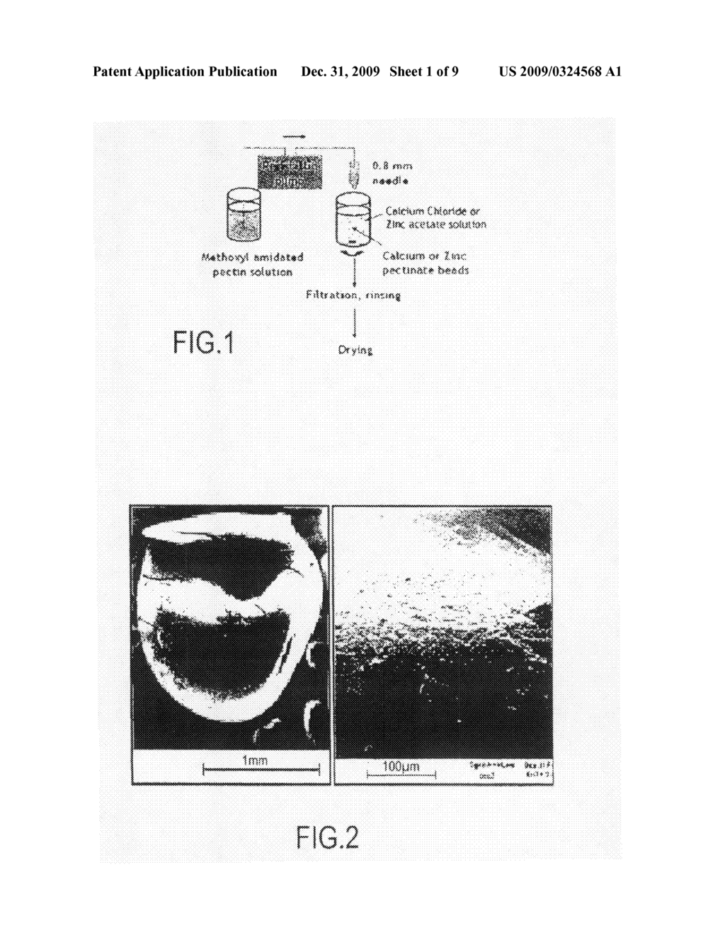 Colonic Delivery of Adsorbents - diagram, schematic, and image 02