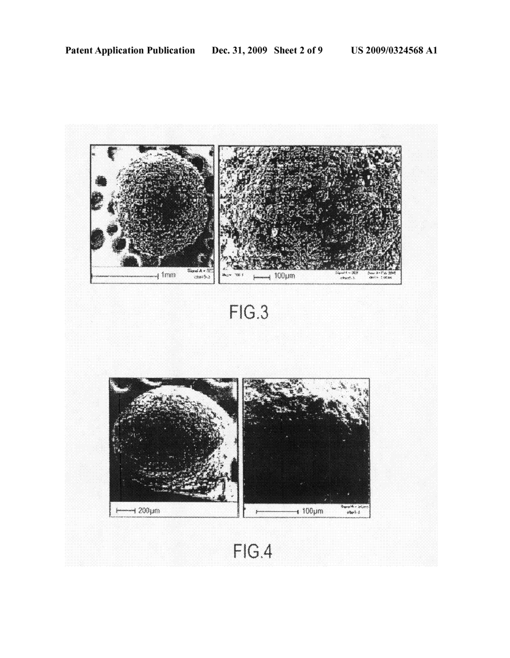 Colonic Delivery of Adsorbents - diagram, schematic, and image 03