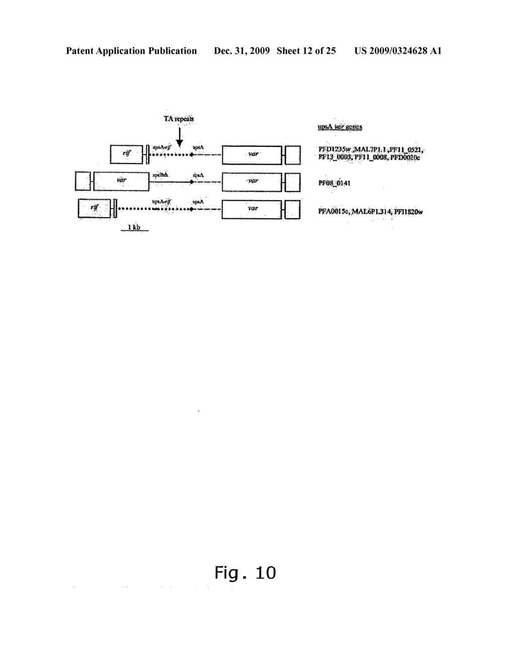 COMPOUNDS USEFUL IN THE DIAGNOSIS AND TREATMENT OF MALARIA - diagram, schematic, and image 13