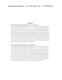 LEISHMANIA VACCINE USING SAND FLY SALIVARY IMMUNOGEN diagram and image