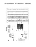 LEISHMANIA VACCINE USING SAND FLY SALIVARY IMMUNOGEN diagram and image