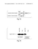 Methods for Stimulating an Immune Response Using Bacterial Antigen Delivery System diagram and image