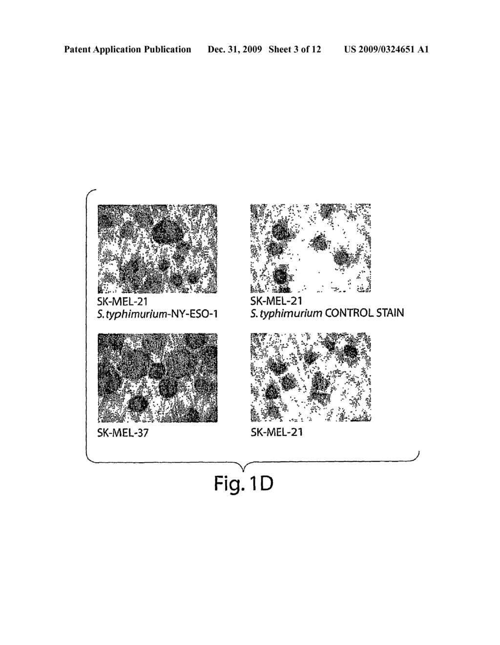 Methods for Stimulating an Immune Response Using Bacterial Antigen Delivery System - diagram, schematic, and image 04