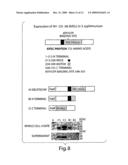 Methods for Stimulating an Immune Response Using Bacterial Antigen Delivery System diagram and image