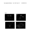 IMATINIB COMPOSITIONS diagram and image