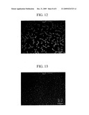 PEG-MODIFIED HYDROXYAPATITE, PHARMACEUTICAL USING THE SAME AS BASE MATERIAL AND PRODUCTION PROCESS THEREOF diagram and image