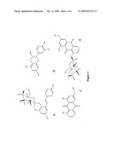 CHINESE HERB EXTRACT FOR TREATING DEMENTIA AND PREPARATION METHOD THEREOF diagram and image