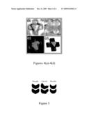 Massively Parallel Assembly of Composite Structures Using Depletion Attraction diagram and image