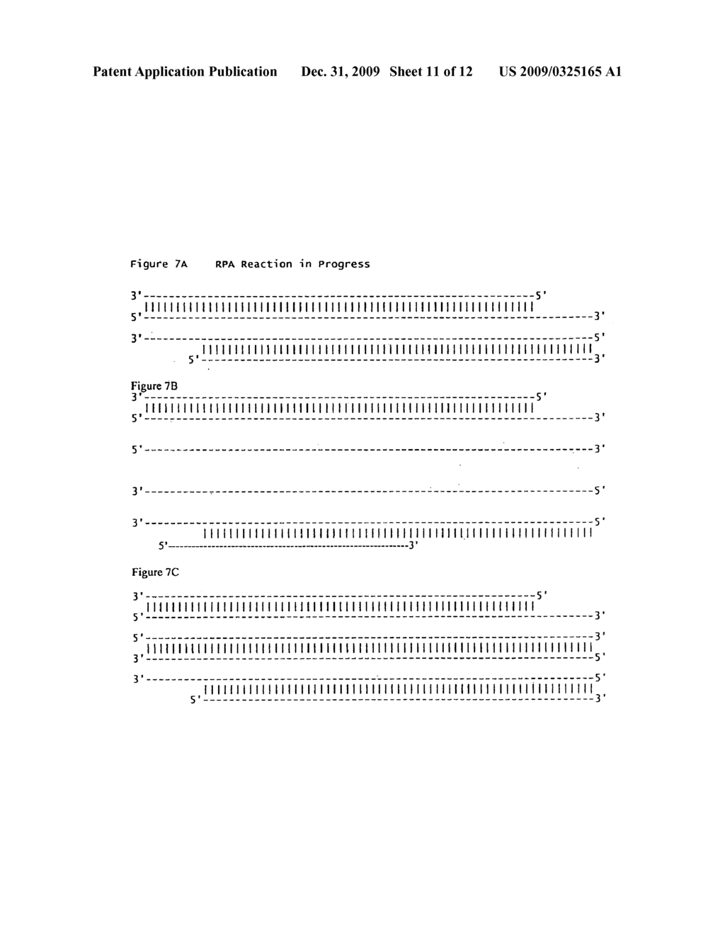 Recombinase polymerase amplification - diagram, schematic, and image 12