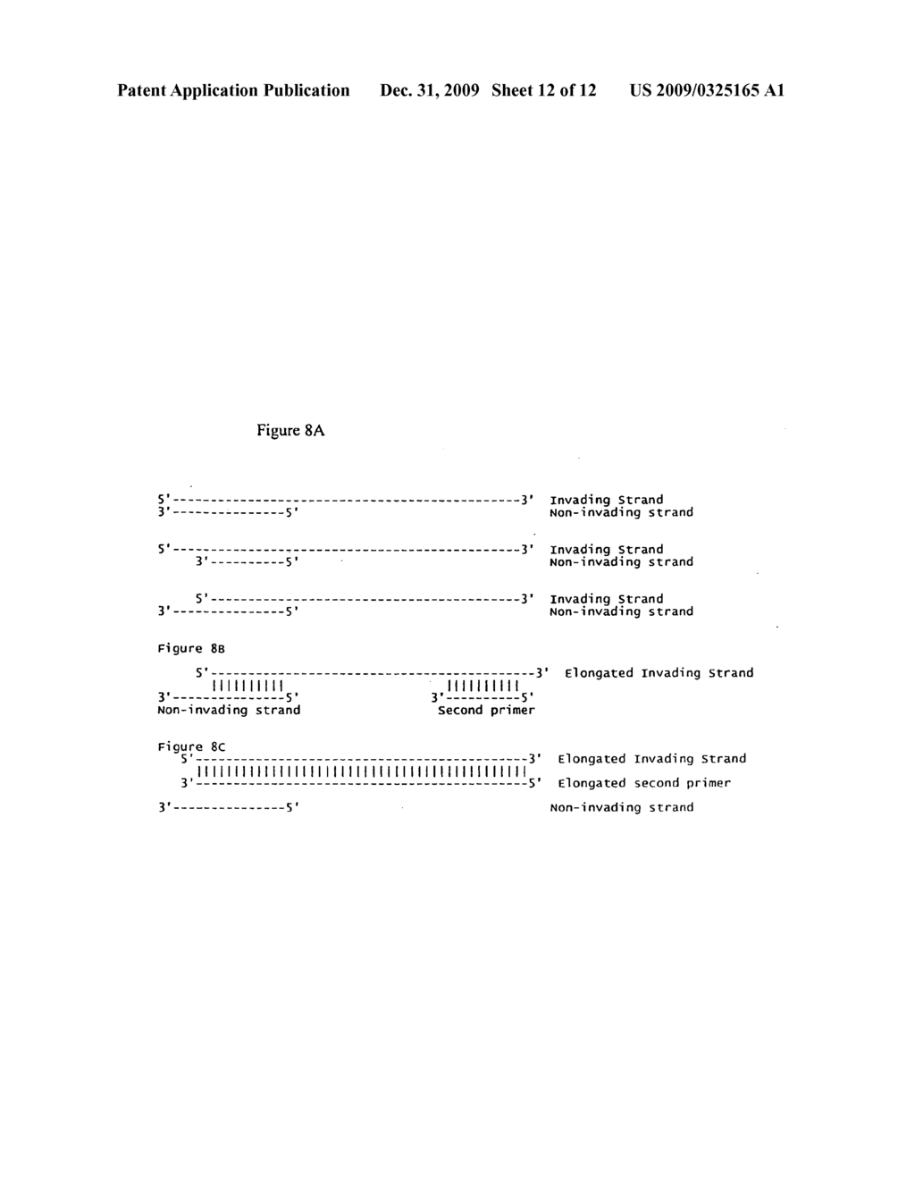 Recombinase polymerase amplification - diagram, schematic, and image 13