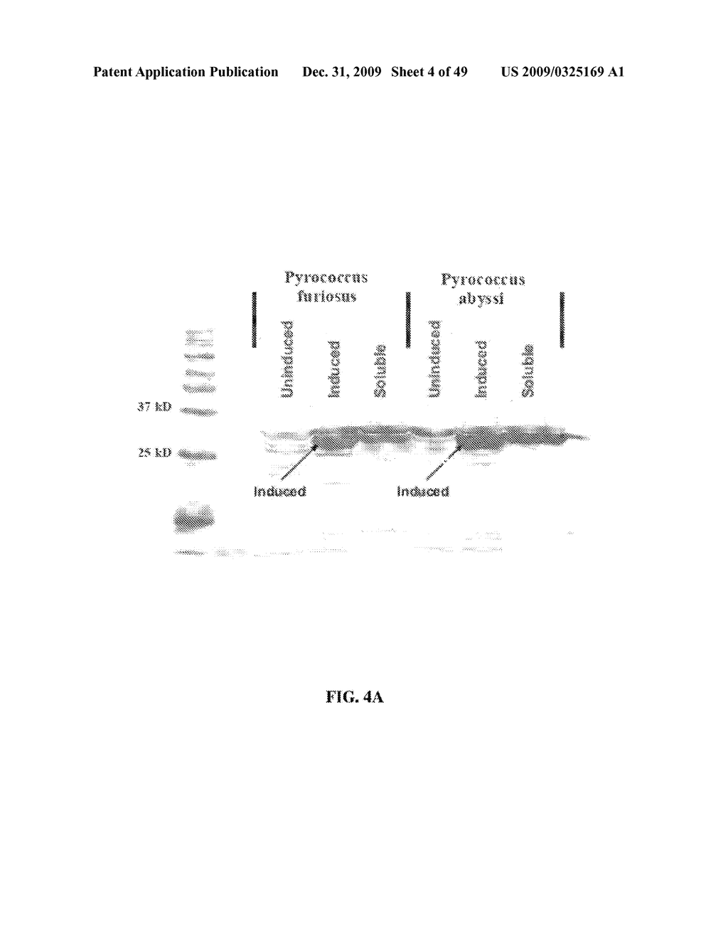 RNASE H-BASED ASSAYS UTILIZING MODIFIED RNA MONOMERS - diagram, schematic, and image 05