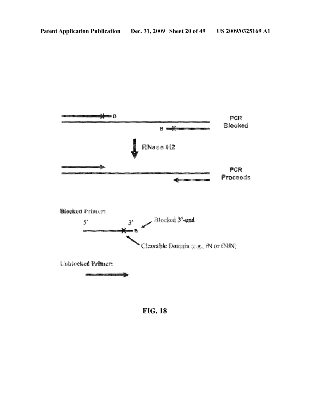 RNASE H-BASED ASSAYS UTILIZING MODIFIED RNA MONOMERS - diagram, schematic, and image 21