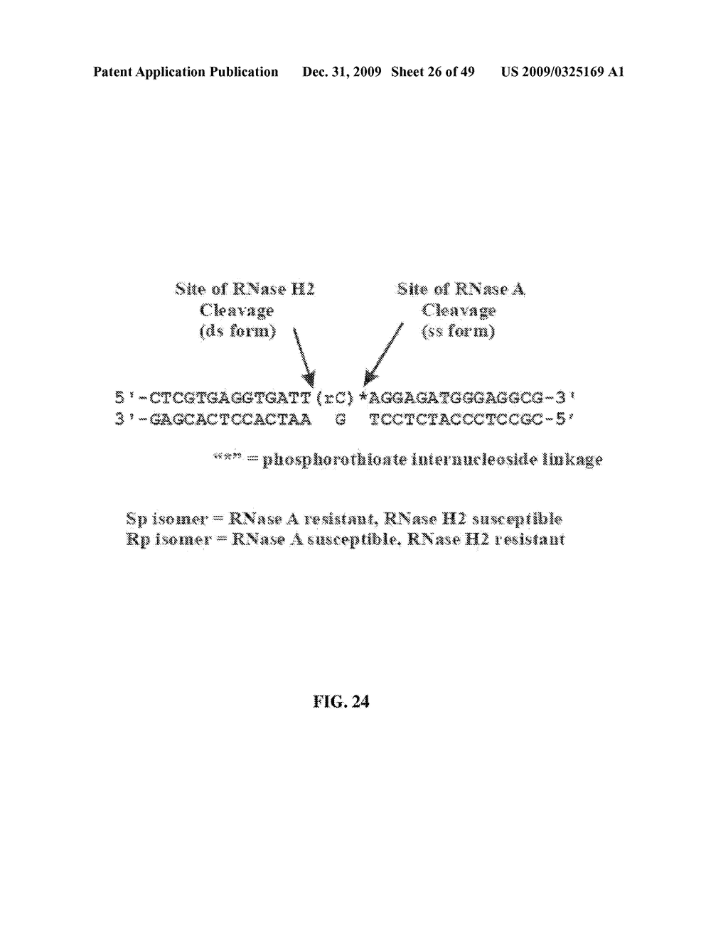 RNASE H-BASED ASSAYS UTILIZING MODIFIED RNA MONOMERS - diagram, schematic, and image 27