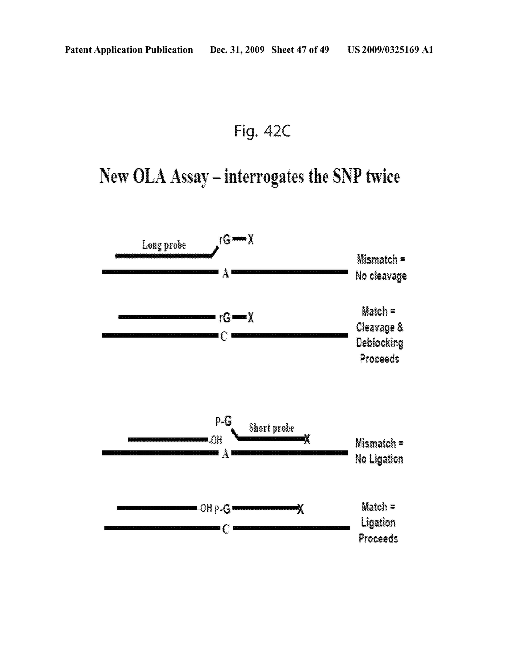 RNASE H-BASED ASSAYS UTILIZING MODIFIED RNA MONOMERS - diagram, schematic, and image 48