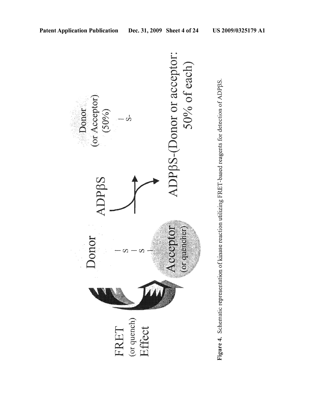 Methods for Detecting Thiol-Containing Nucleotide Diphosphates with Thiol-Reactive Fluorescent Reagents - diagram, schematic, and image 05