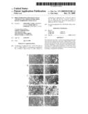 Drug Screening using Islet Cells and Islet Cell Progenitors from Human Embryonic Stem Cells diagram and image