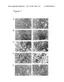 Drug Screening using Islet Cells and Islet Cell Progenitors from Human Embryonic Stem Cells diagram and image