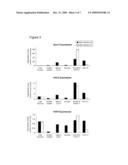 Drug Screening using Islet Cells and Islet Cell Progenitors from Human Embryonic Stem Cells diagram and image