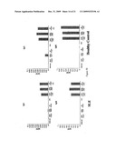 LEVELS OF BCMA PROTEIN EXPRESSION ON B CELLS AND USE IN DIAGNOSTIC METHODS diagram and image