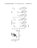 LEVELS OF BCMA PROTEIN EXPRESSION ON B CELLS AND USE IN DIAGNOSTIC METHODS diagram and image