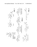 Biosynthesis of Salinosporamide A and Analogs and Methods Thereof diagram and image