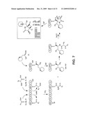 Biosynthesis of Salinosporamide A and Analogs and Methods Thereof diagram and image