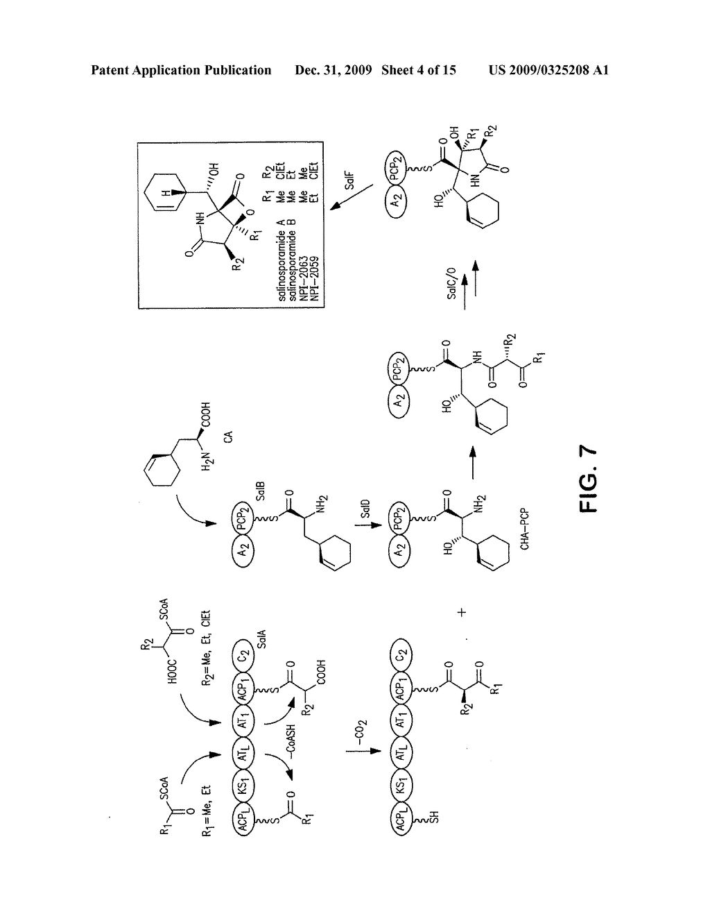 Biosynthesis of Salinosporamide A and Analogs and Methods Thereof - diagram, schematic, and image 05