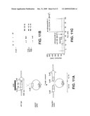 Biosynthesis of Salinosporamide A and Analogs and Methods Thereof diagram and image