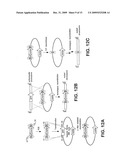 Biosynthesis of Salinosporamide A and Analogs and Methods Thereof diagram and image