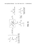 Biosynthesis of Salinosporamide A and Analogs and Methods Thereof diagram and image