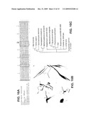 Biosynthesis of Salinosporamide A and Analogs and Methods Thereof diagram and image