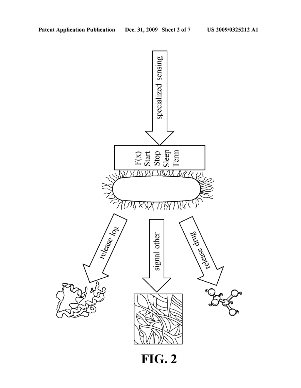 DATA STANDARD FOR BIOMATERIALS - diagram, schematic, and image 03