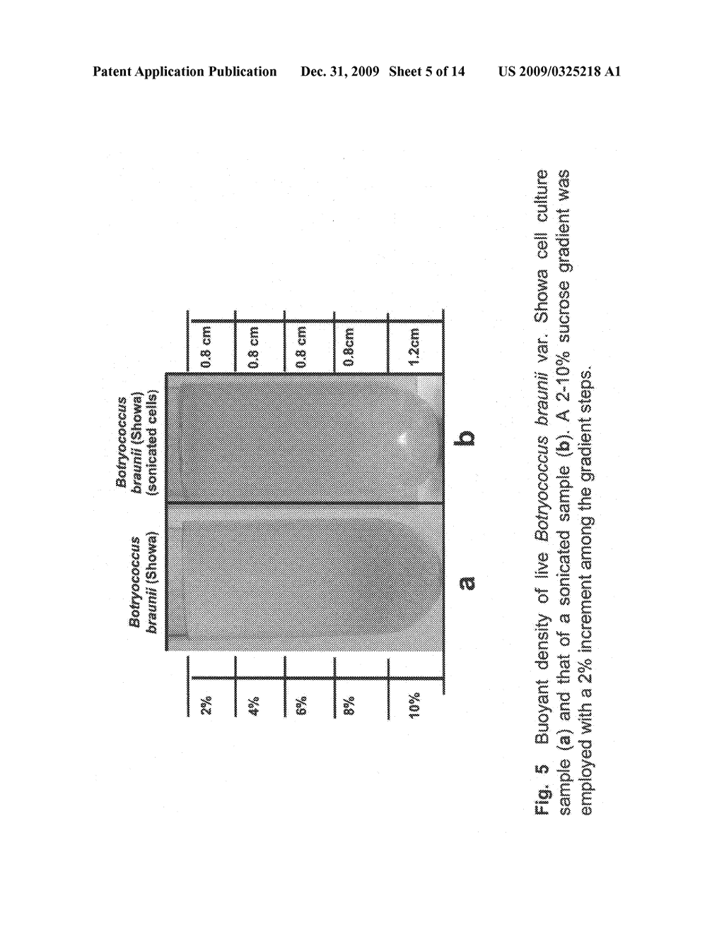 Determination of lipid, hydrocarbon or biopolymer content in microorganisms - diagram, schematic, and image 06