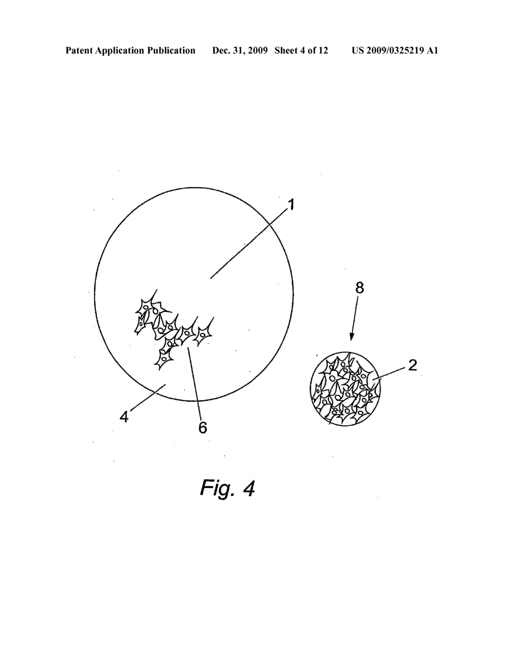 DEVICE, SYSTEM AND ASSAY FOR MEASURING CELL MOTILITY - diagram, schematic, and image 05