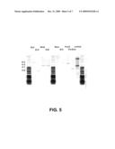 FUNGAL CELL WALL SYNTHESIS GENE diagram and image