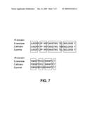 FUNGAL CELL WALL SYNTHESIS GENE diagram and image