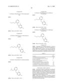 FUNGAL CELL WALL SYNTHESIS GENE diagram and image