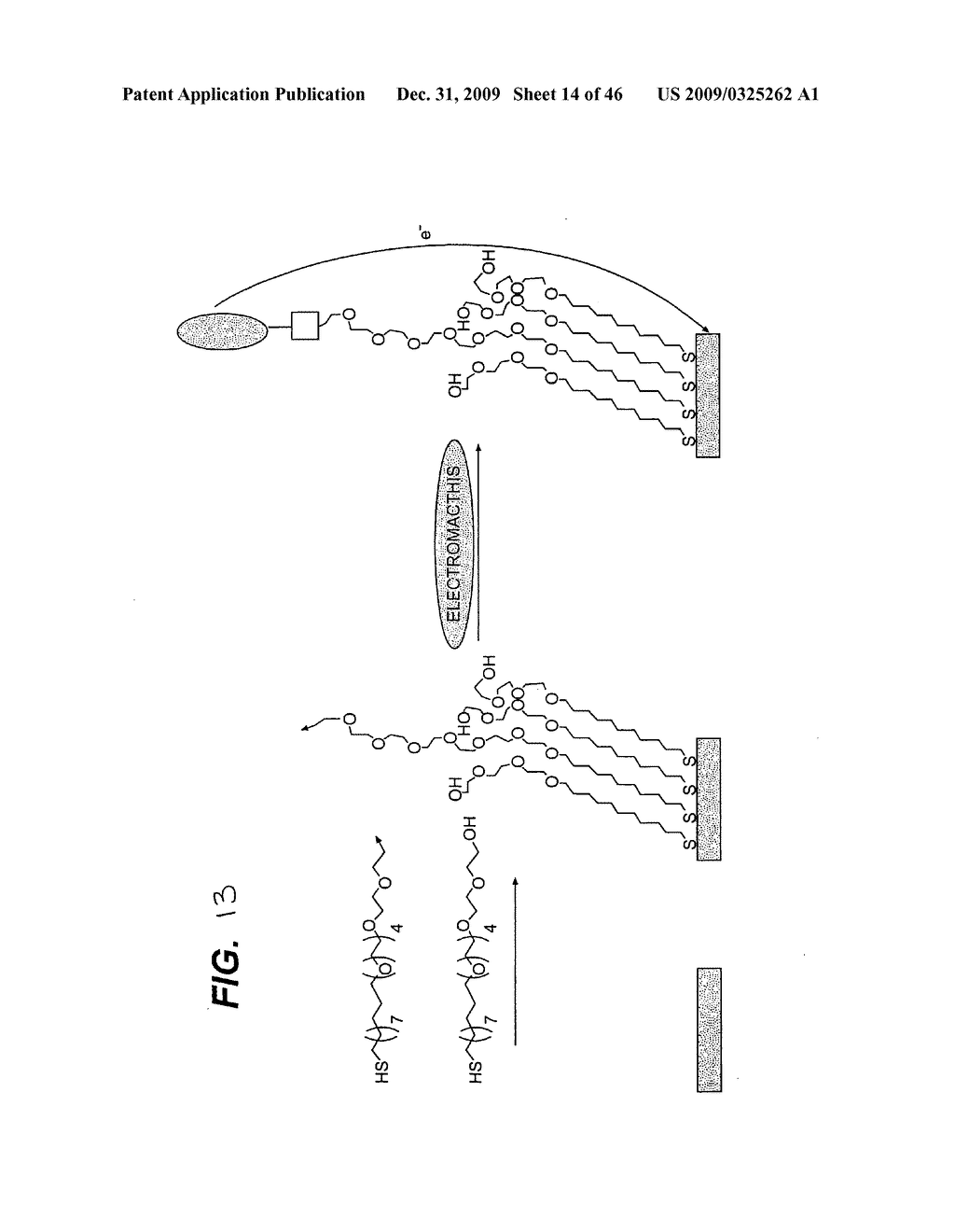 Immobilization of biological molecules onto surfaces coated with monolayers - diagram, schematic, and image 15